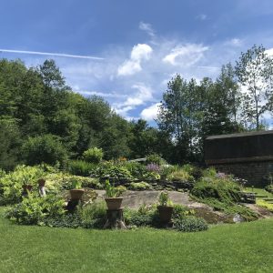 566D646C-620E-409A-9CE0-A92D7FB9C831