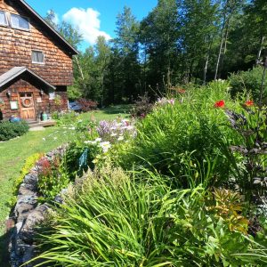 61906CF9-024C-4731-9325-85E061380367