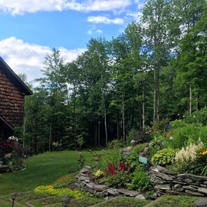 755D772D-5554-49BA-B77B-B188CA6E6C4B