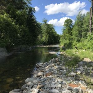 C7E599DE-0C93-44ED-AB30-D1C41413B3FA