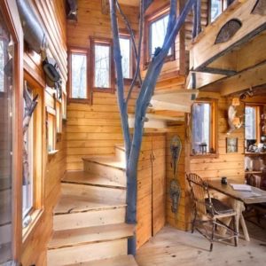 treehouse_CLB3008-1015e-sg-f