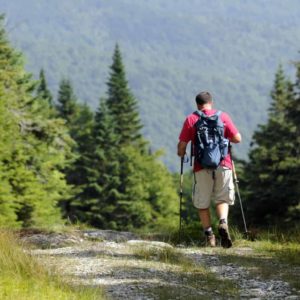 Stark Mountain Trail hiking in the summer
