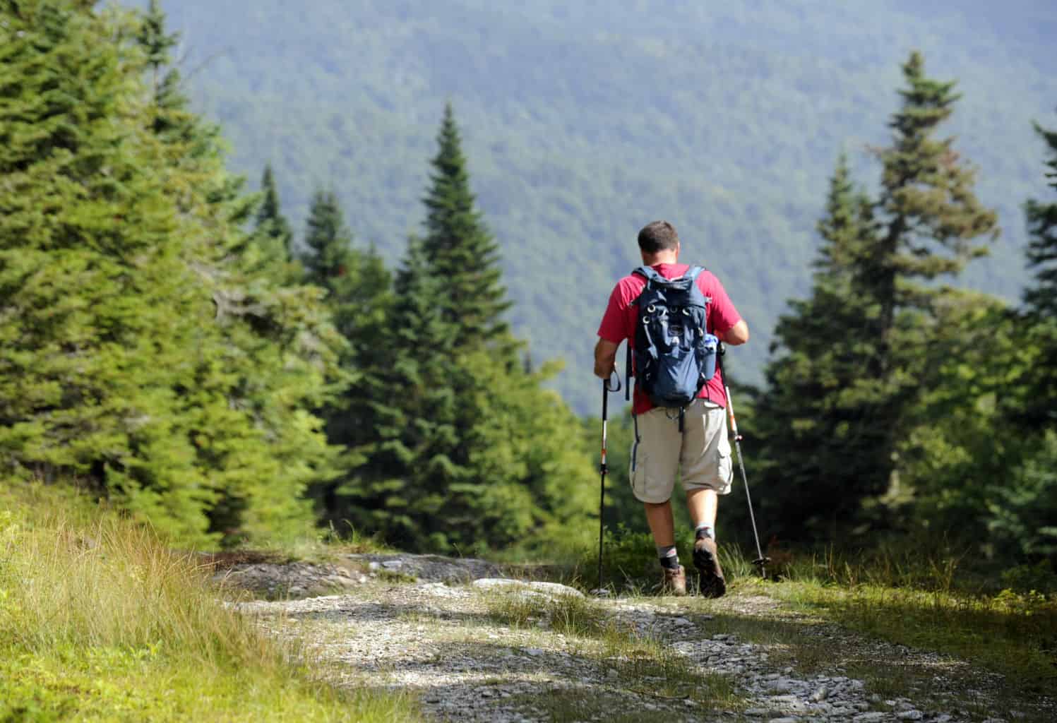Stark Mountain Trail hiking in the summer