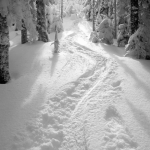 Screen Shot 2018-08-27 at 3.08.24 PM