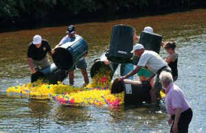 930-duck-race