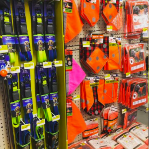 Screen Shot 2022-10-21 at 5.17.05 PM