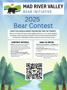 2025 Bear Contest MRV