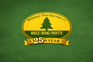 25th-anniversary-celebration-banner-design-1200x800