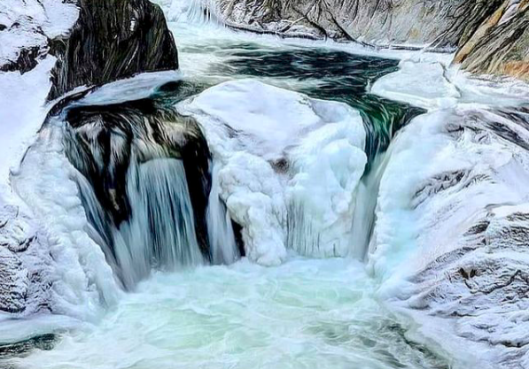 Screen Shot 2021-02-03 at 7.37.11 AM